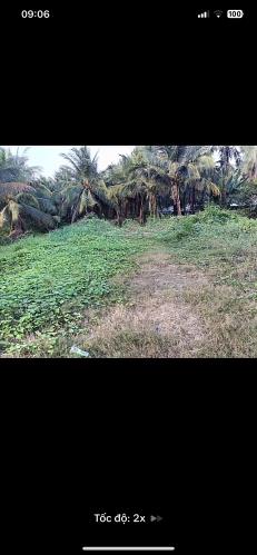 Bán đất khu vực xã Đại Phước, huyện Càng Long, Trà Vinh