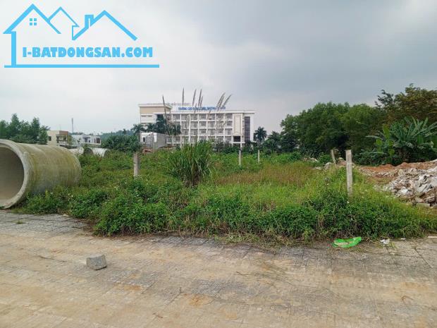 CHỦ KẸT TIỀN CẦN BÁN BỜ BẮC MẶT TIỀN SÔNG TRÀ GIÁ RẺ - 1