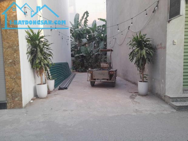 ĐẤT ĐỒNG MAI MẶT ĐƯỜNG CỔ BẢN KINH DOANH SẦM UẤT - 2
