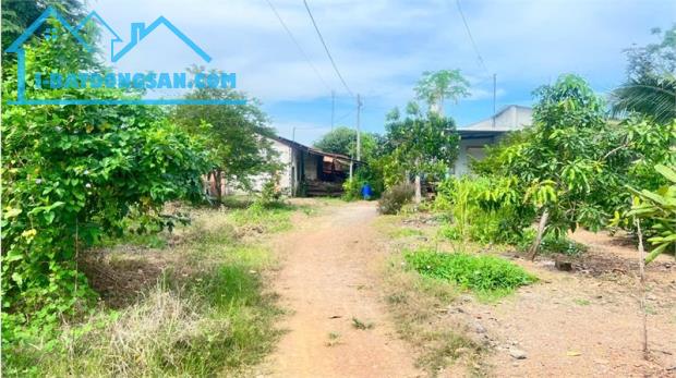 bán đất tặng nhà cấp 4, thổ cư toàn bộ, đất 2MT đầu đuôi. phân được nhiều lô.