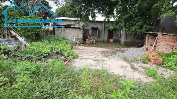 bán đất tặng nhà cấp 4, thổ cư toàn bộ, đất 2MT đầu đuôi. phân được nhiều lô. - 2