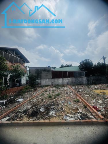 Đầu tư đúng lúc – tiền đẻ như cơm – mua đất Hóc Môn – mai thành đại gia! - 2