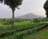 Bán đất Vân Hòa, sát sân bóng, gần Yên Bài, Làng văn hóa, 599m, vuông, nở hậu, chỉ 4.39tỷ