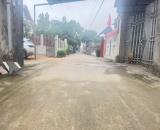 Chính chủ cần bán trục chính thôn tại Việt Hưng -  Văn Lâm, giá tốt: 0828218468