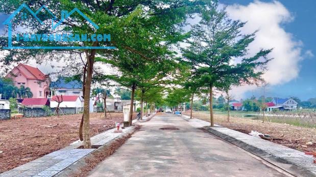 Đầu tư sinh lời với đất nền gần Vinhome Củ Chi, xã Tân Phú Trung. - 4