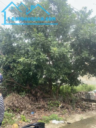 CC cần bán gấp đất biệt thự ở khu sân bay Quốc Tế Long Thành - Đồng Nai - 2