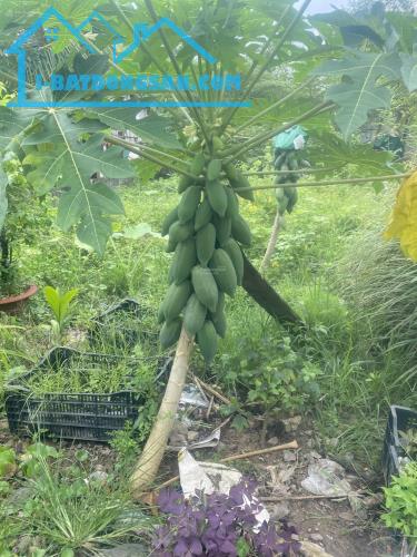 CC cần bán gấp đất biệt thự ở khu sân bay Quốc Tế Long Thành - Đồng Nai - 3