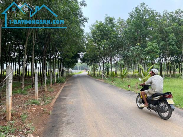 ĐẤT TÂN ĐỊNH BẾN CÁT CƠ HỘI ĐẦU TƯ TRẢ TRƯỚC CHỈ 680TR - 3