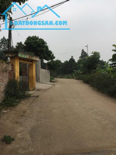 ĐẤT ĐẸP - GIÁ SIÊU HỜI - Chính chủ cần Bán Nhanh 5 Lô Đất Nền tại Tân Lộc, Hồng Kỳ, Sóc - 2