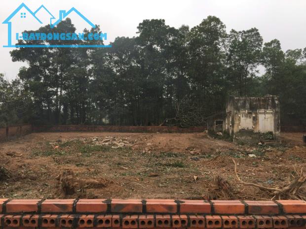 ĐẤT ĐẸP - GIÁ SIÊU HỜI - Chính chủ cần Bán Nhanh 5 Lô Đất Nền tại Tân Lộc, Hồng Kỳ, Sóc - 4