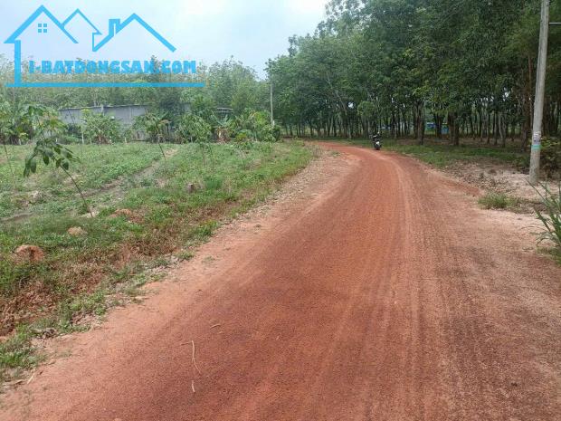 1000m2 gần siêu khu công nghiệp 4200ha Tân hòa Đồng Phú bình phước chỉ 150 triệu