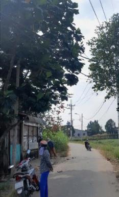 Đất đẹp Thổ cư, 100%, SHR mặt tiền nhựa ngay gần đường Bến Than, xã Hòa Phú, Củ Chi, TPHCM