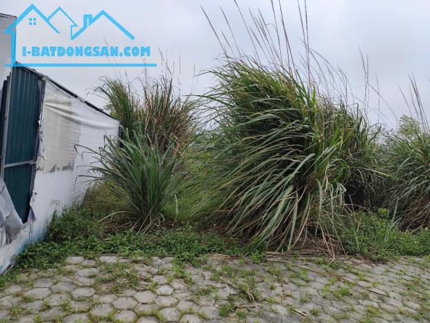 Cơ hội đầu tư hấp dẫn: 1,4 sào đất (540m²) giá chỉ hơn 1 tỷ