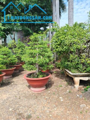 Bán kho mặt tiền đường Võ Thị Hồi 4000m2 chỉ 66 tỷ xã Xuân Thới Đông huyện Hóc Môn - 1