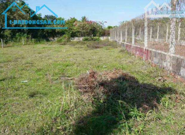 BÁN NGỘP LÔ ĐẤT Ở PHƯỚC THẠNH CỦ CHI 135M2 GIÁ 520 TRIỆU - 2