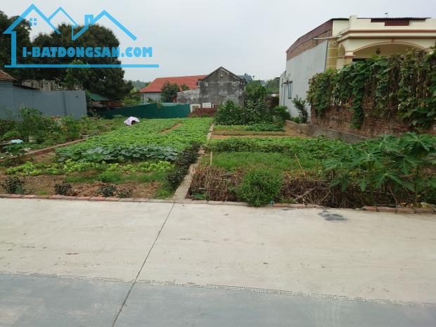 CƠ HỘI VÀNG! BÁN GẤP LÔ ĐẤT 80M² ĐƯỜNG HẬU DƯỠNG, KIM CHUNG