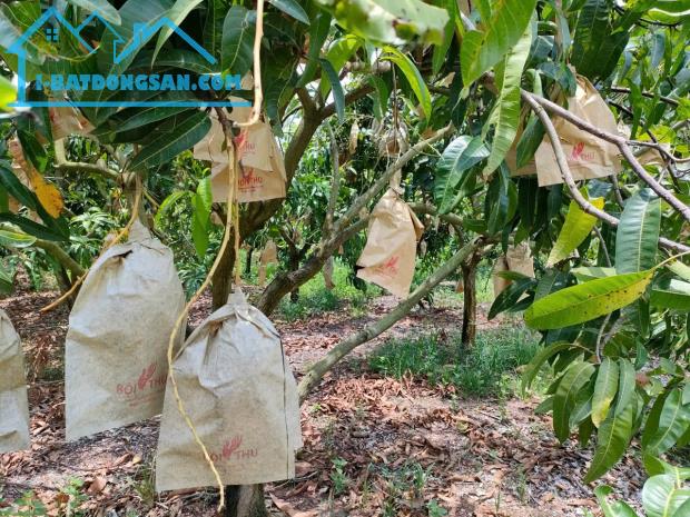Nói thật là giờ kẹt tiền quá em cần bán gấp lô đất giá ngộp - 2