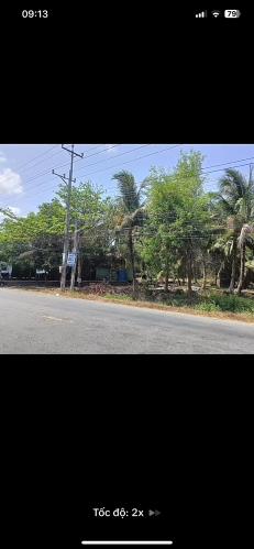 Bán đất khu vực xã Tân Phong, Thanh Phú, Bến Tre