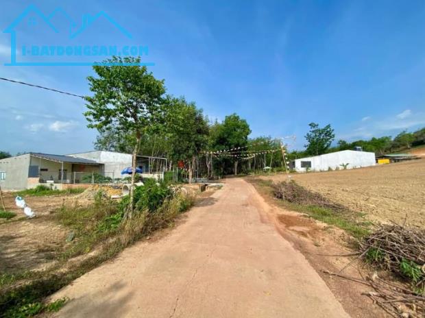 552m2 có 100m2 thổ cư thành phố Đồng xoài chỉ với 300 triệu - 1