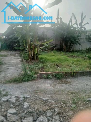 Đất Hưng Yên 79m2 giá 850 triệu lô góc ô tô vào cách khu du lịch khoáng nóng 500 mét. - 2