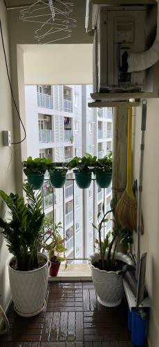 Cho thuê căn hộ chung cư An Phú, đường Hậu Giang, p11, quận 6, TP.Hồ Chí Minh - 3
