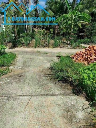 Bán đất nền Phú Hưng Thành phố Bến Tre 141m 255tr - 1