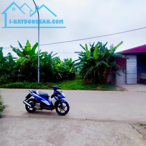 200m đất mặt đường liên xã Tri Trung-Hoàng Long KD đỉnh,cách Cienco5 700m - 3