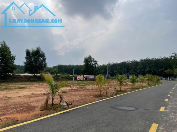 Bán đất nền Tân Định Bến Cát – Sổ hồng riêng, đường nhựa 10m, giá chỉ từ 1,3 tỷ
