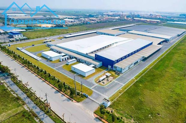 Bán đất đấu gía khu CN Tiền Hải, phân lô vỉa hè, hạ tầng đẹp, sổ đỏ,chỉ 1,3 tỷ/lô - 3
