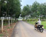 ĐẤT TÂN ĐỊNH BẾN CÁT CƠ HỘI ĐẦU TƯ TRẢ TRƯỚC CHỈ 680TR