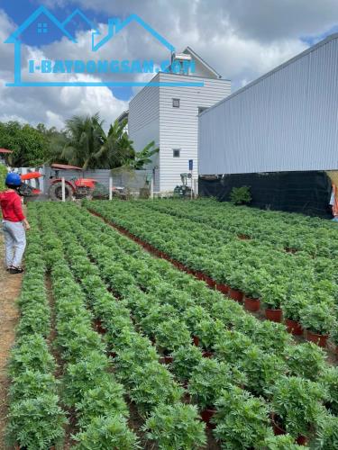 Bán đất full thổ cư 2 mặt tiền siêu đẹp xã Diên Sơn, Diên Khánh