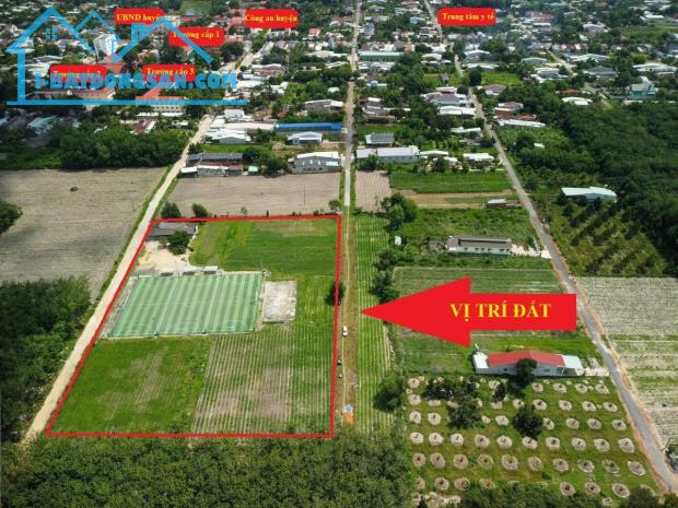 Bán hết 1,5ha đất thị trấn Tân Châu Tây Ninh, 2 mặt tiền đường lớn - 1