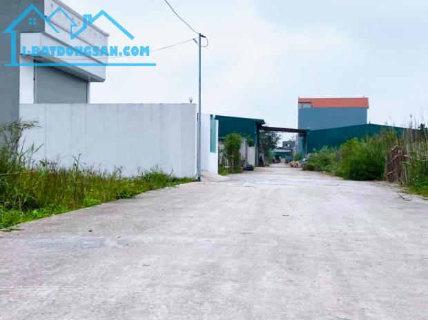 Đấu giá Đồng Phố-Tân Dân có sẵn KHO,nhu cầu thực mật độ XD cao,nhiều tiện ích - 1