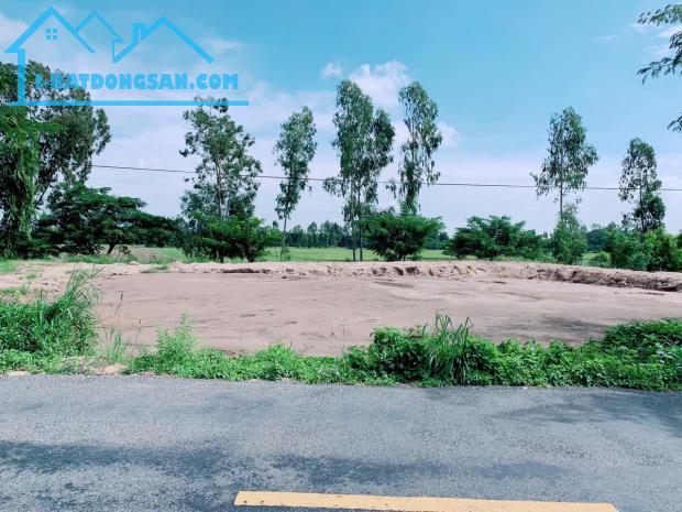 Cần Nhanh Bán Lô Đất Mặt Tiền Dường Nhựa xã Tân Nghĩa, Huyện Cao Lãnh, Tỉnh Đồng Tháp . - 1