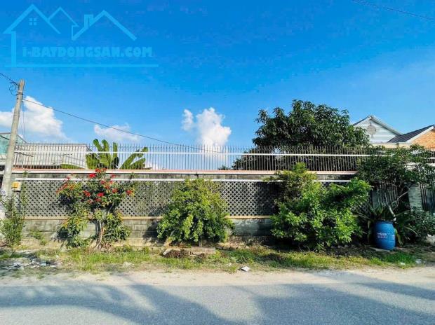 Cần bán gấp lô đất đường nhựa Nguyễn Viết Xuân, Thị trấn Củ Chi, 481m2 - 2