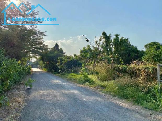 CHÍNH CHỦ! 120M² FULL THỔ – MT 5M Đ.LÊ THỊ SIÊNG – TÂN THÔNG HỘI–500 TRIỆU!!! - 3