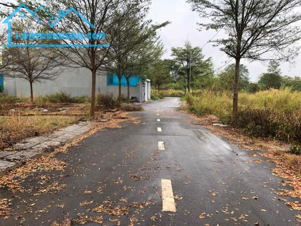 Bán đất Trảng Bom, Đồng Nai, 1,05 tỷ 118m2 - 3