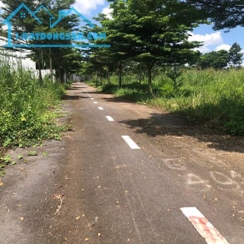 Bán đất Trảng Bom, Đồng Nai, 1,05 tỷ 118m2 - 4