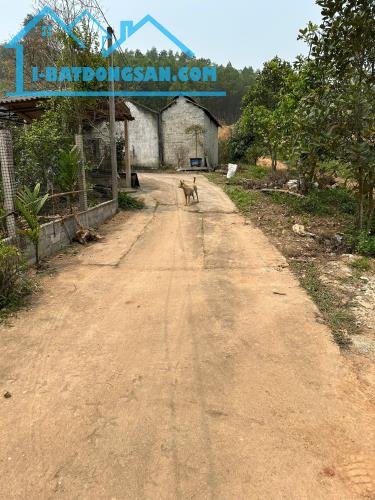🌟 CHÍNH CHỦ CẦN BÁN ĐẤT ĐẦU TƯ TẠI THÁI NGUYÊN - 4