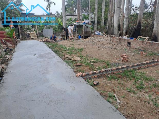 Bán đất tại ngõ 66 Kiều Hạ, Hải An, Hải Phòng, 42m2, 1.390 tỷ VND. - 1