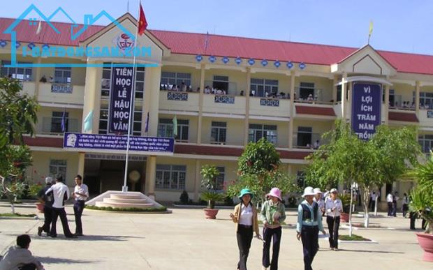 BÁN NHÀ CẤP 4 2 PHÒNG NGỦ – DIỆN TÍCH 172M² – ĐƯỜNG NHỰA THÔNG DÀI – GIÁ TỐT ĐẦU TƯ - 3
