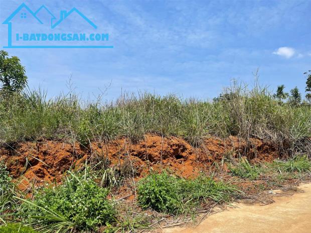 BÁN ĐẤT GIÁ RẺ CÁCH ĐÀ LẠT 58KM - 2