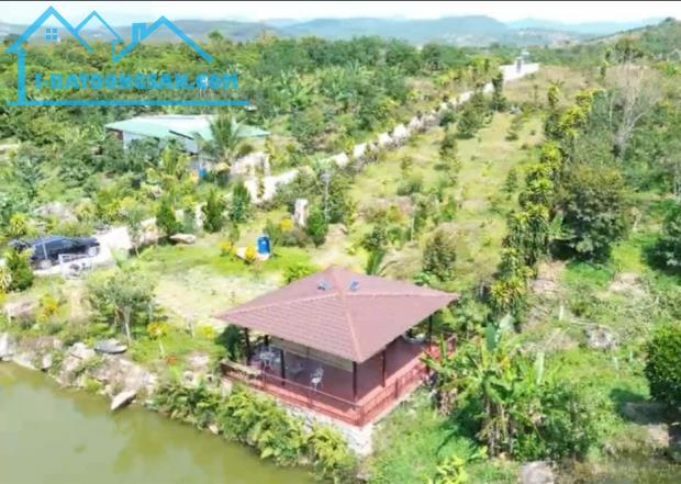 250m2 ĐẤT NHÀ VƯỜN BẢO LỘC – GIÁ F0 CHỈ 490TRIỆU - 1
