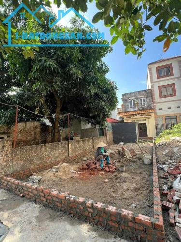❌❌ Bán 69m2 lô đất 2 mặt ngõ trước sau tại Tiên Kha, Tiên Dương, Đông Anh. Lh 0981568317 - 2