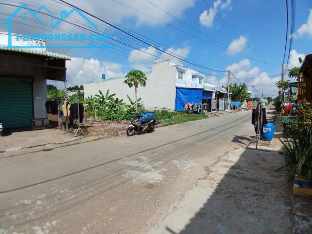 Bán đất ngay GĐ 1 khu dc Tân Đức, Đức Hòa, Long An - 1