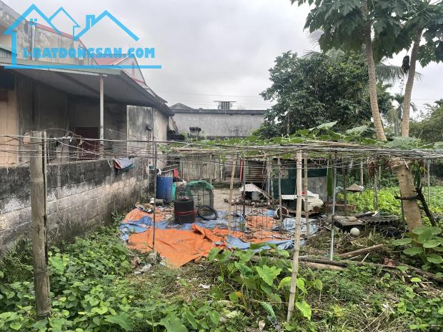 Chỉ 2,3 tỷ 102m2 đất tại Cam Lộ, Hùng Vương, Hồng Bàng, Hải Phòng - 2