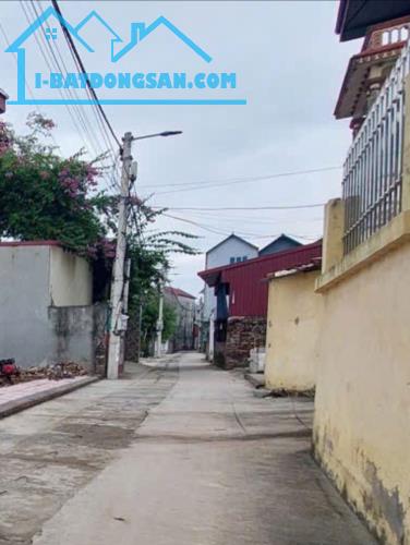 Bán Đất Tổ 9 Quang Minh, Mê Linh-ÔTô Vào Tận Nơi, Full Thổ Cư, Giá Rẻ Nhất Khu Vực - 1