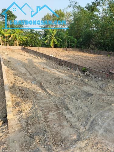 Mộ Đạo Quế Võ Bắc Ninh 77mx 4m mt 1.45 tỷ siêu đầu tư - 4