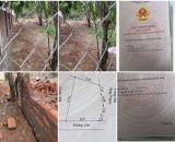 CHÍNH CHỦ CẦN BÁN ĐẤT  Xã Dân Quyền  - H Tam Nông - T. Phú thọ