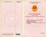 Chủ Kẹt Cần Bán Gấp lô đất nền trung tâm hành chánh bàu bàng Giá 870, Sổ Tươi Công chứng